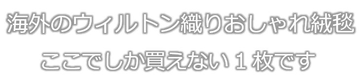 海外