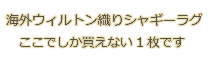 ラグ セール