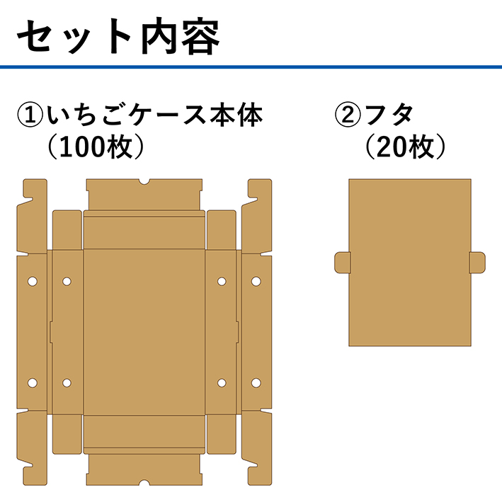009_ichigo1kg_tya_set.jpg 009_ichigo1kg_tya_set.jpg