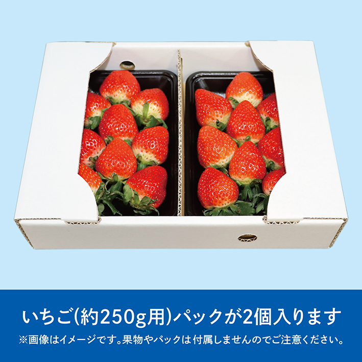アイアイ様専用】500ml詰合せ12本＊2箱 【2箱括りでの発送】