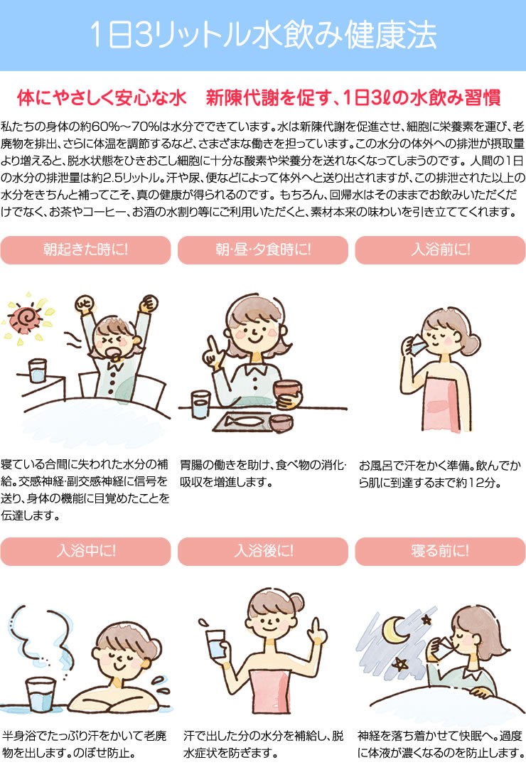 回帰水C1 ６本 回帰水の保存水(2L×6本×2ケース) : タイセイオンラインショップ