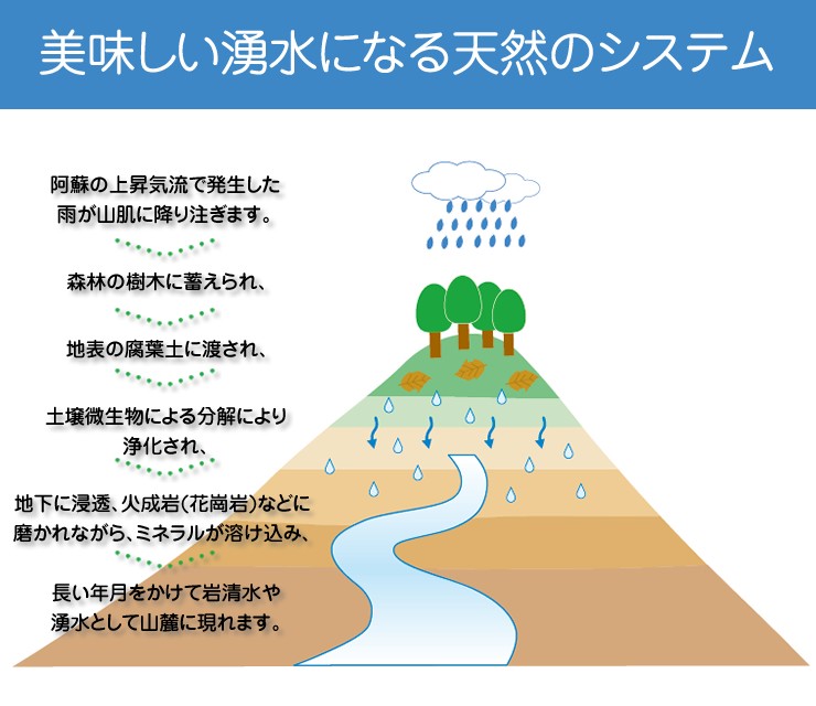 自然回帰水ホワイト(500mL×20本) : タイセイオンラインショップ - 通販 