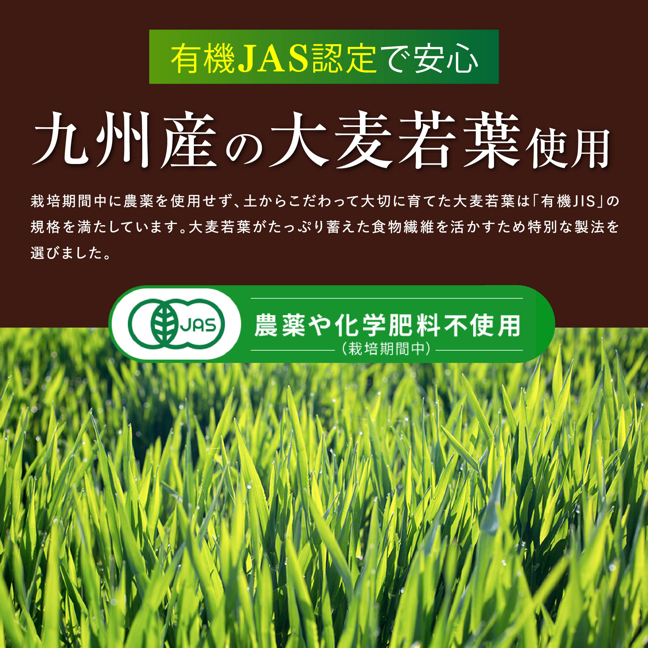 大正製薬 公式 コレステロールや中性脂肪が気になる方の青汁 30袋×3箱 