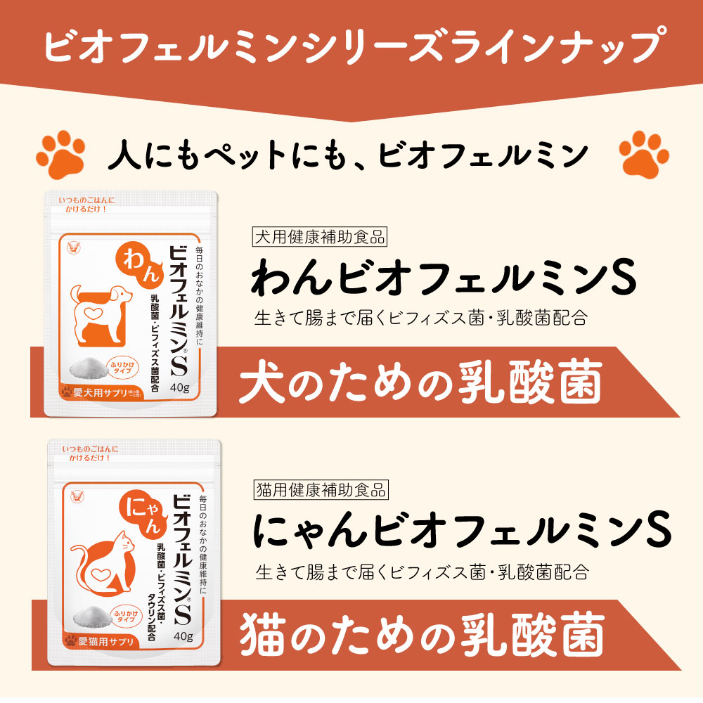 大正製薬 公式 わん ビオフェルミンS 40g 3袋 サプリ 犬 サプリメント
