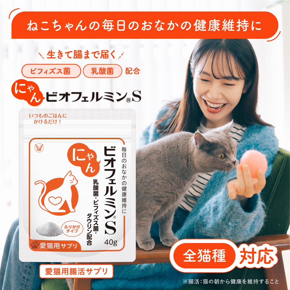 大正製薬 公式 にゃんビオフェルミンS 40g1袋 猫 サプリ フード