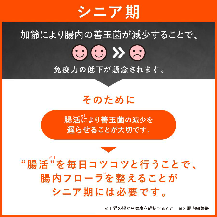 大正製薬 公式 にゃんビオフェルミンS 40g1袋 猫 サプリ フード