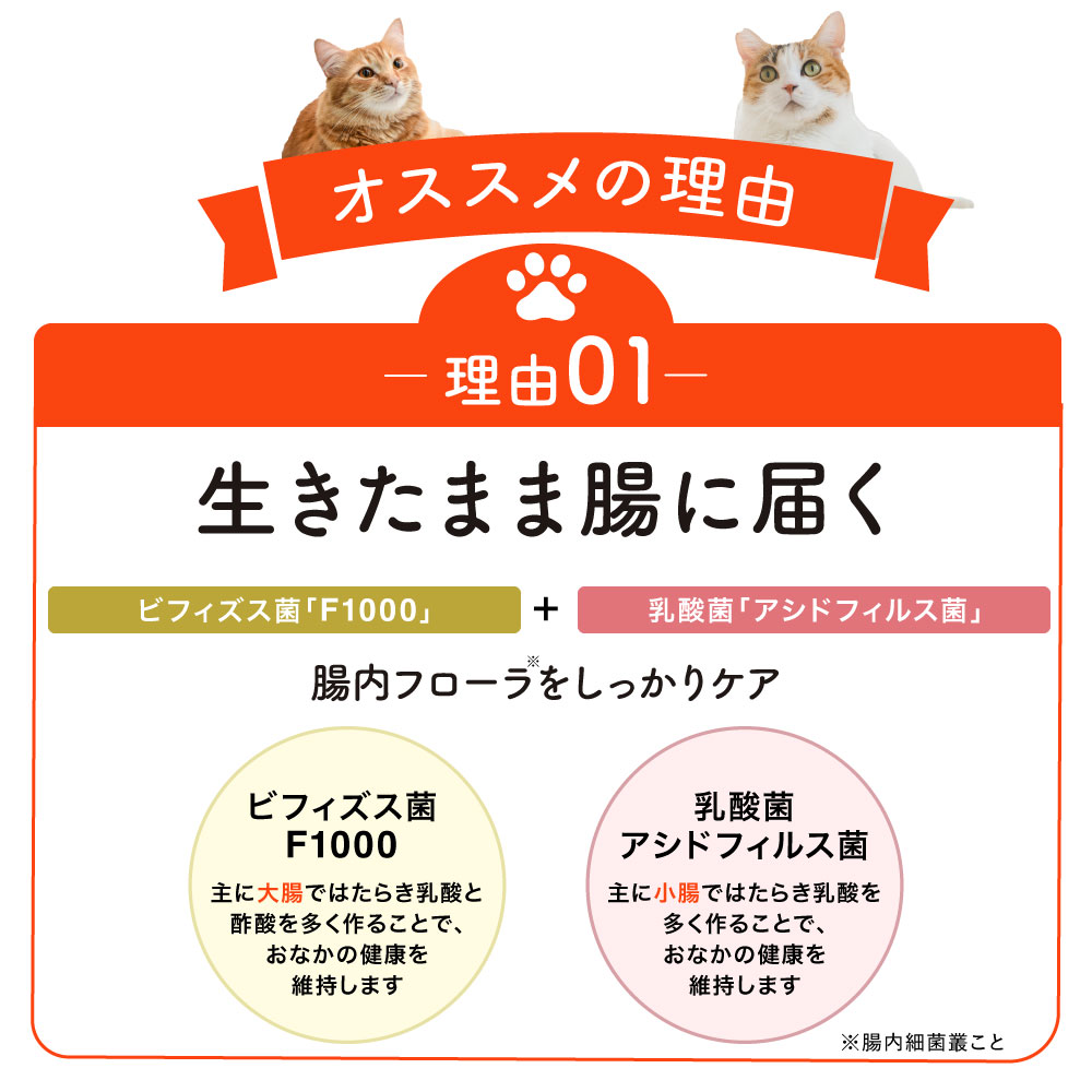 大正製薬 公式 にゃんビオフェルミンS 40g1袋 猫 サプリ フード