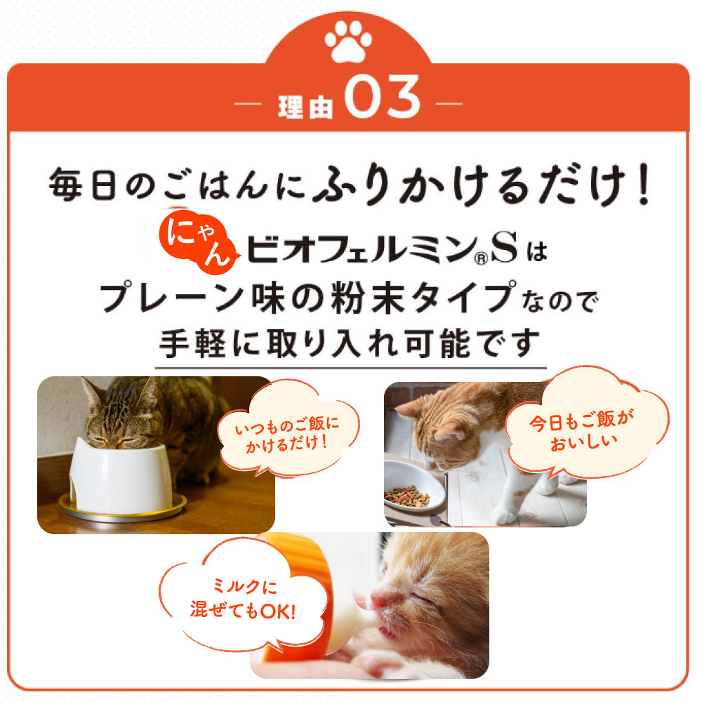 大正製薬 公式 にゃんビオフェルミンS 40g1袋 猫 サプリ フード