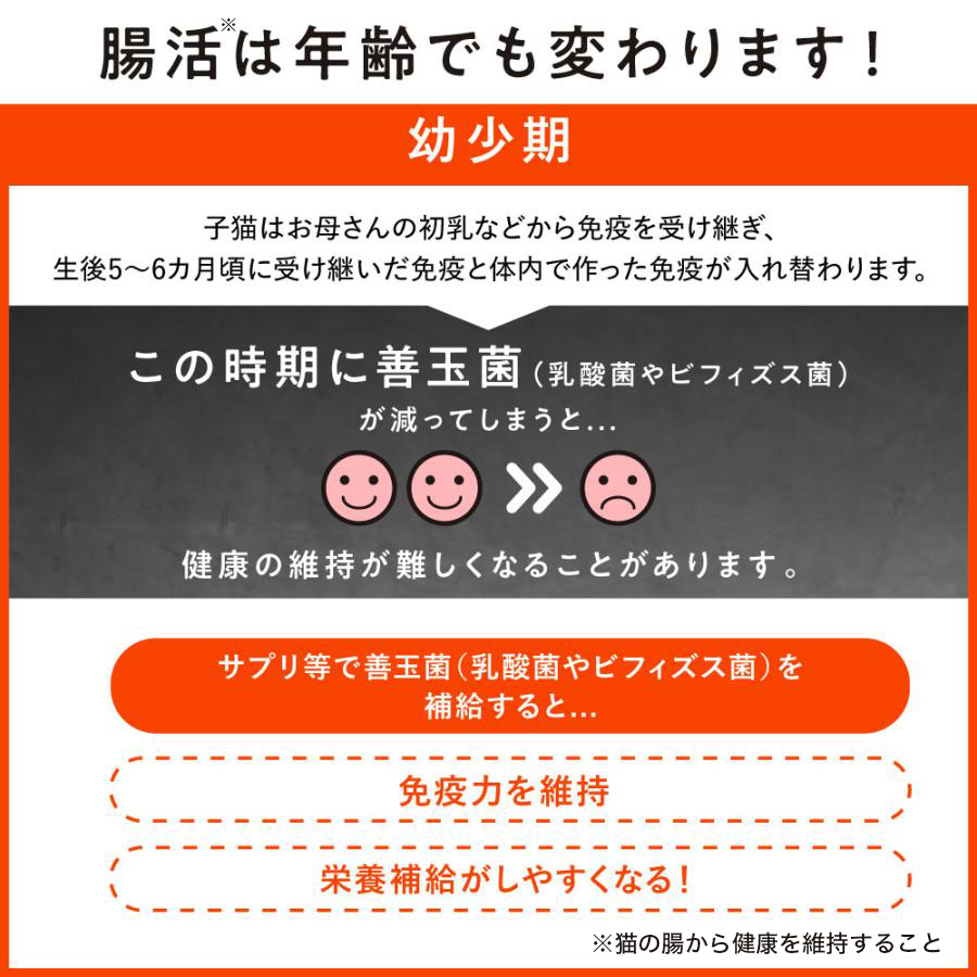 大正製薬 公式 にゃんビオフェルミンS 40g1袋 猫 サプリ フード