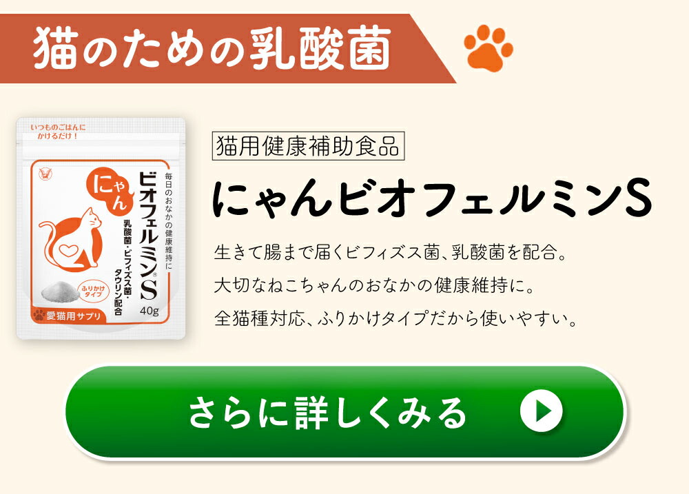 大正製薬 公式 わん ビオフェルミンS 40g 3袋 サプリ 犬 サプリメント