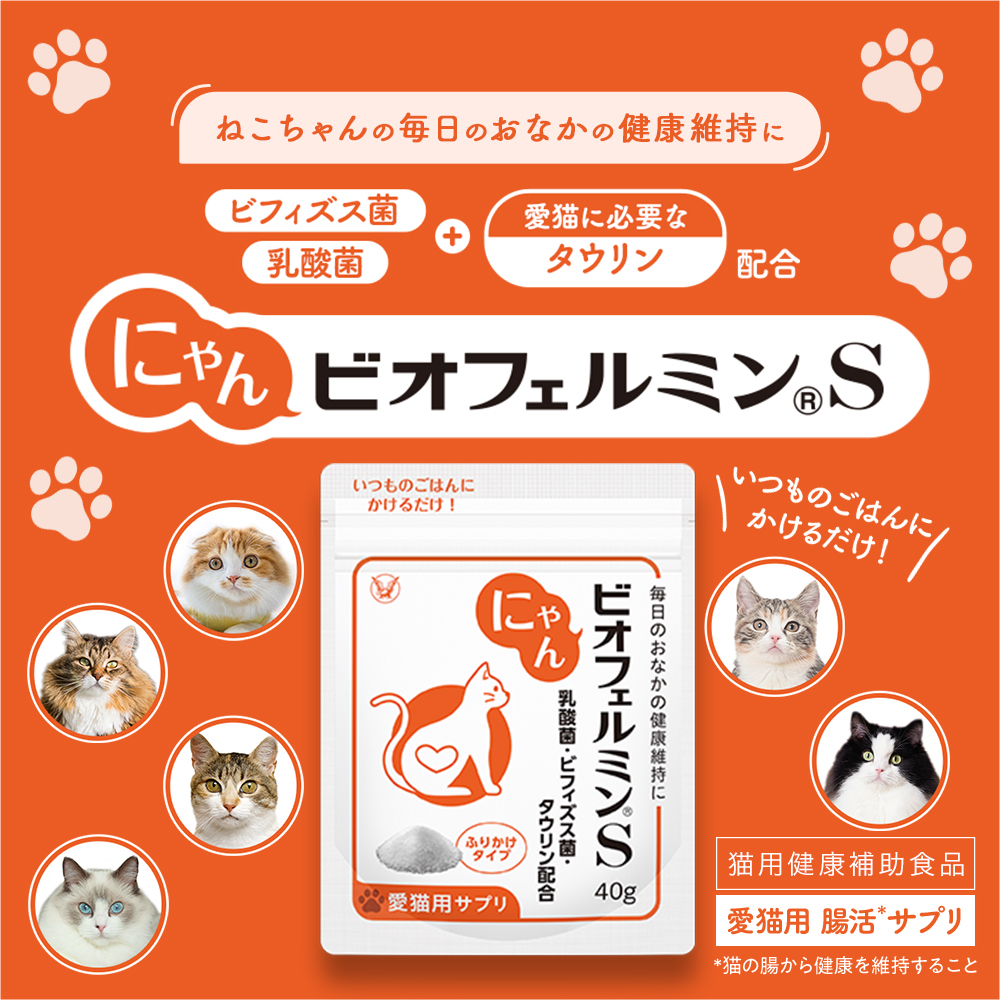 大正製薬 公式 にゃんビオフェルミンS 40g2袋 猫 サプリ フード