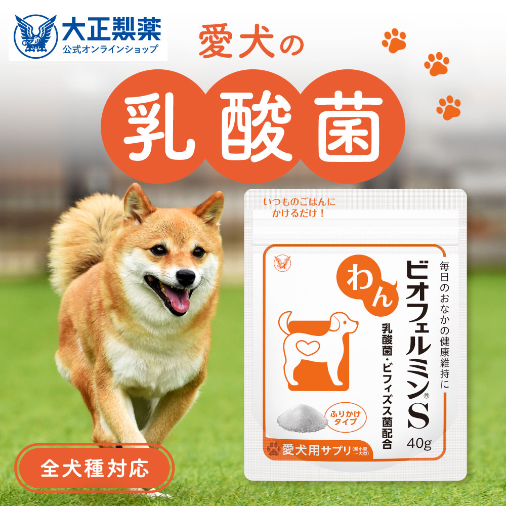 ビオフェルミンS 犬用サプリメント 40g×4袋 大正製薬 公式 わん ビオフェルミンS 40g 3袋 サプリ 犬 サプリメント