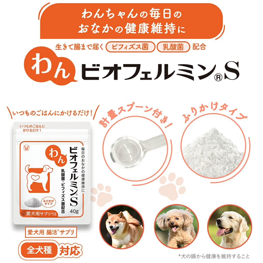 大正製薬 公式 わん ビオフェルミンS 40g 3袋 サプリ 犬 サプリメント