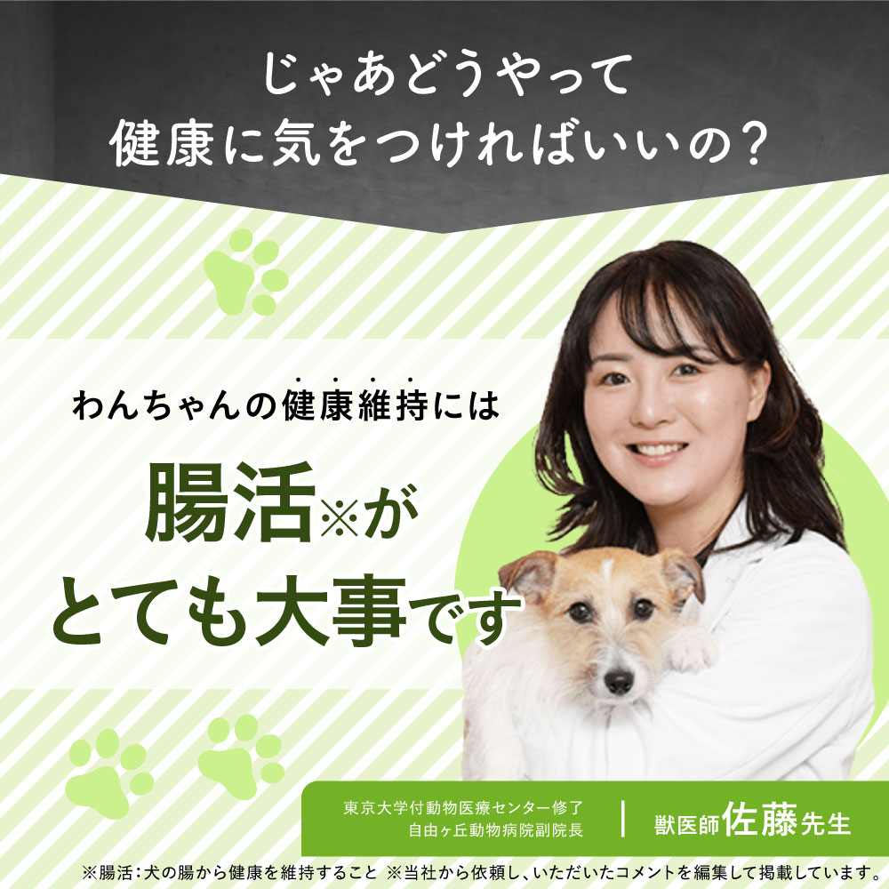 大正製薬 公式 わん ビオフェルミンS 40g 3袋 サプリ 犬 サプリメント
