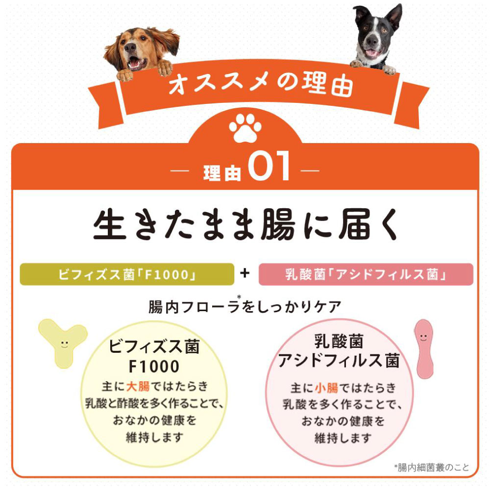 大正製薬 公式 わん ビオフェルミンS 40g 3袋 サプリ 犬 サプリメント