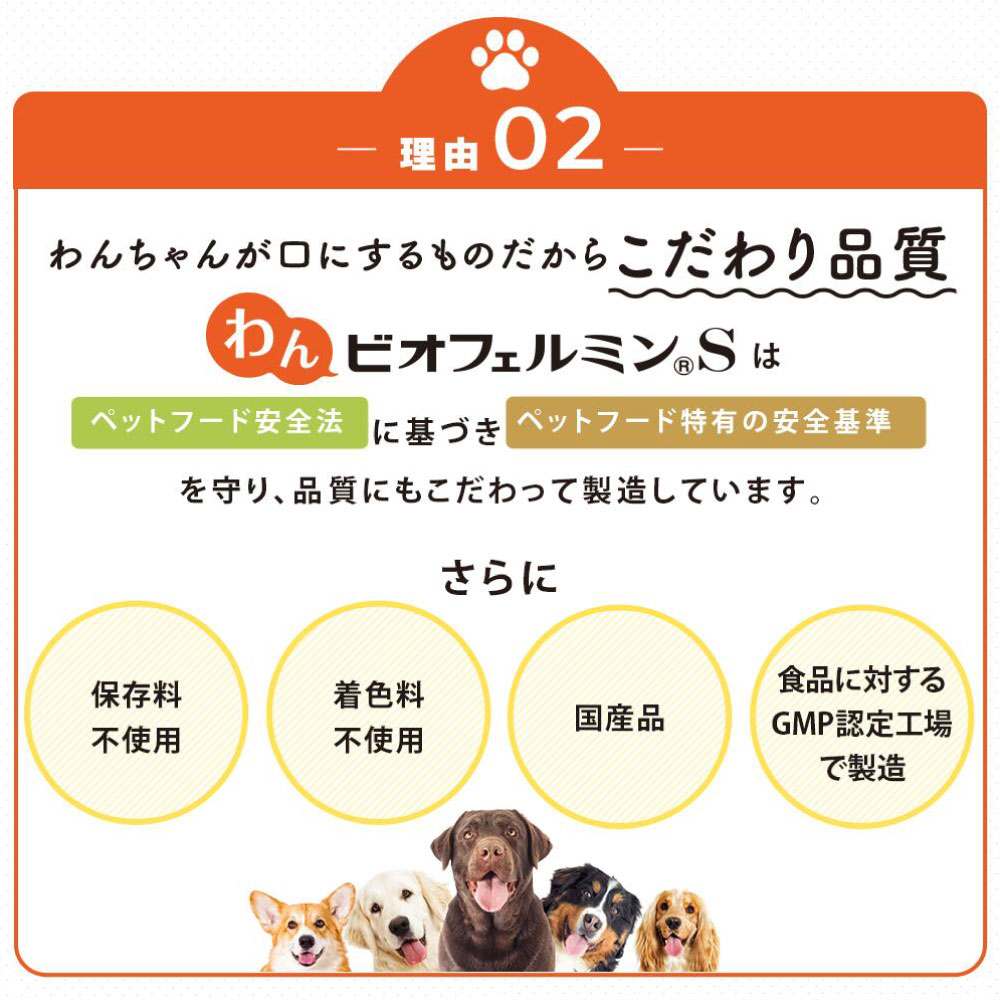 大正製薬 公式 わん ビオフェルミンS 40g 2袋 サプリ 犬 サプリメント