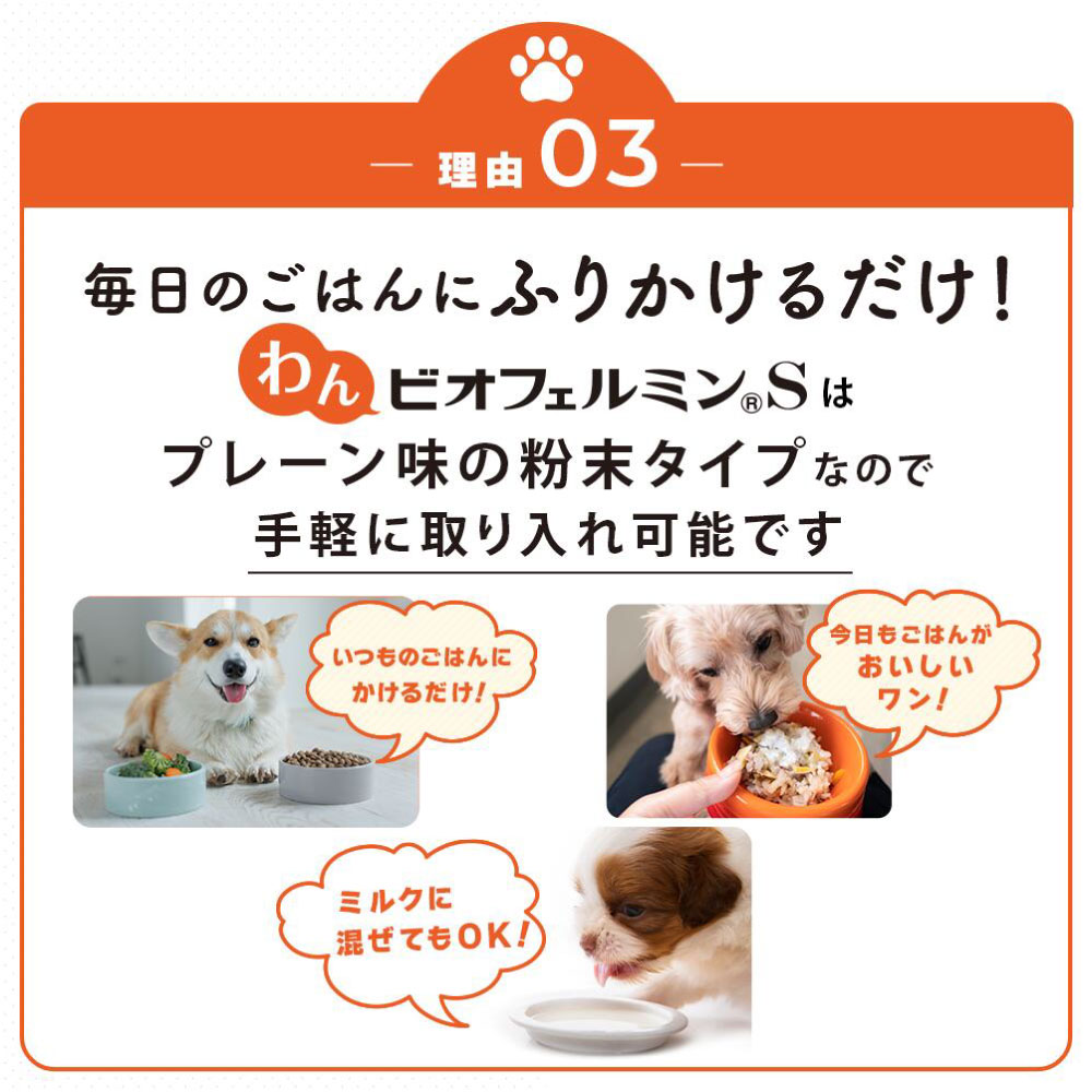 大正製薬 公式 わん ビオフェルミンS 40g 3袋 サプリ 犬 サプリメント