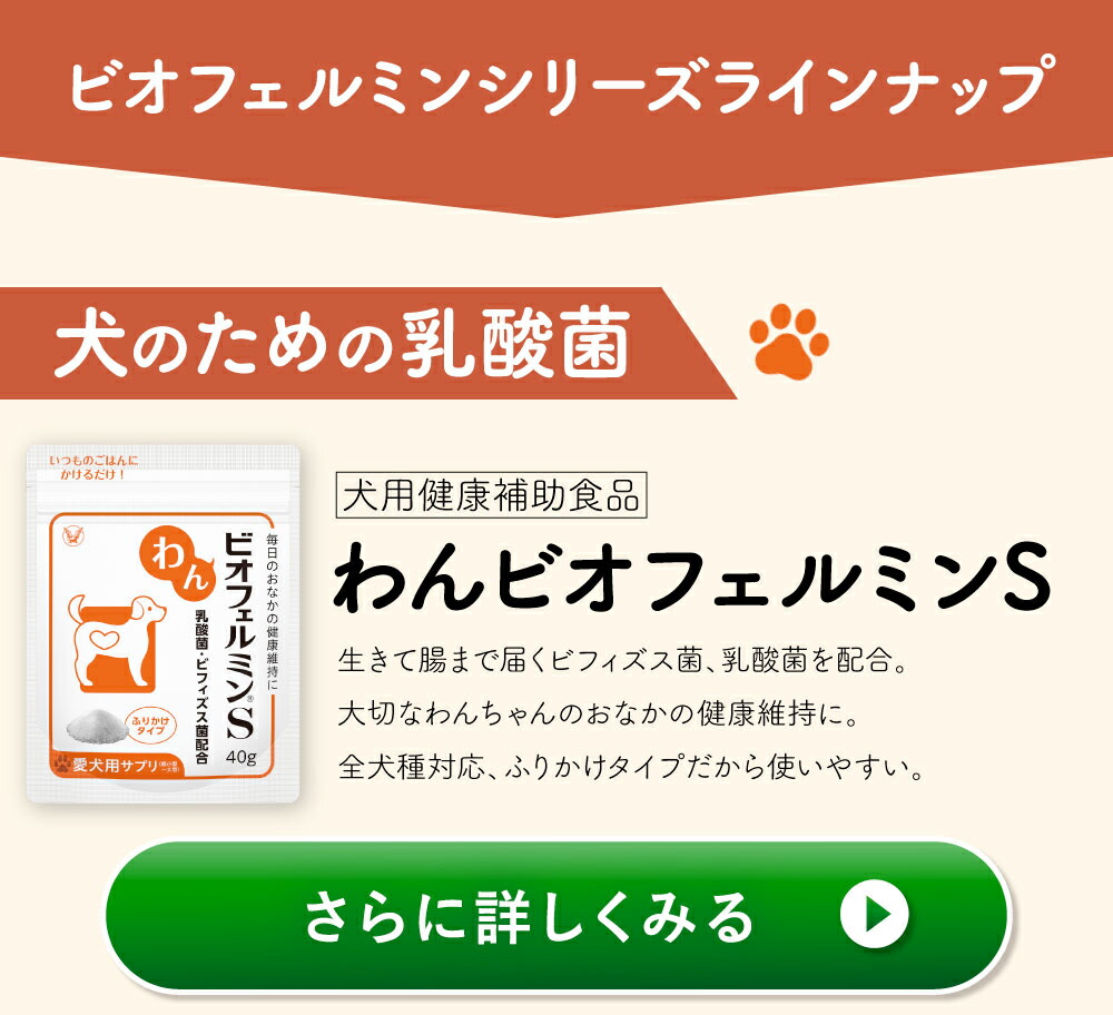 大正製薬 公式 わん ビオフェルミンS 40g 2袋 サプリ 犬 サプリメント