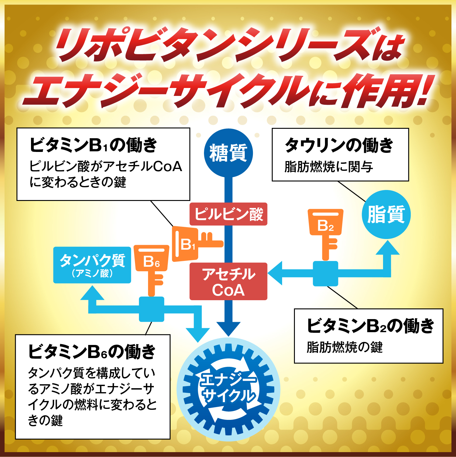 大正製薬 公式 リポビタンDハイパー 指定医薬部外品 100mL×50本