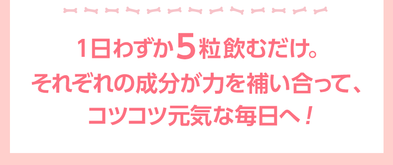 1日わずか5粒飲むだけ。それぞれの成分が力を補い合って、コツコツ元気な毎日へ！