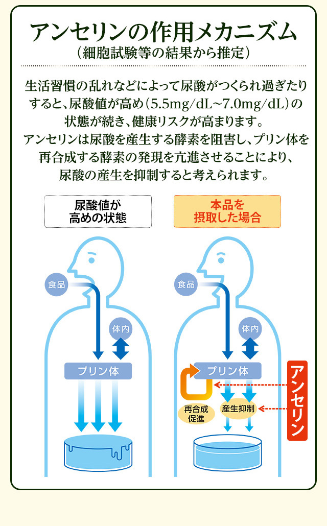 大正製薬 公式 尿酸値が高めの方のタブレット（粒タイプ）6袋