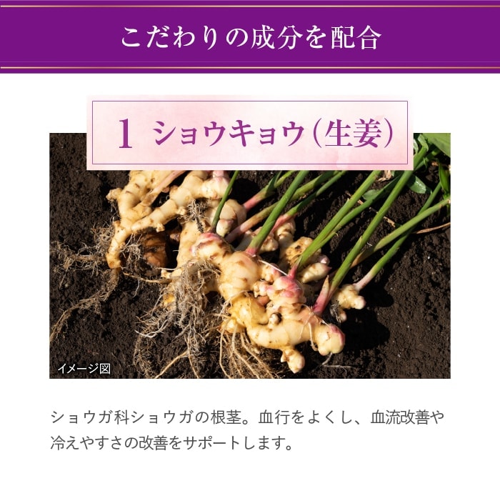 公式 大正製薬 リポビタンアクティブ 50mL...の詳細画像4