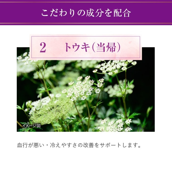 公式 大正製薬 リポビタンアクティブ 50mL...の詳細画像5