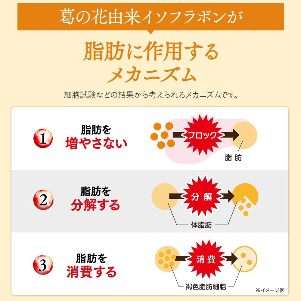 大正製薬 公式 おなかの脂肪対策タブレット 粒タイプ 30日分 90粒 2袋