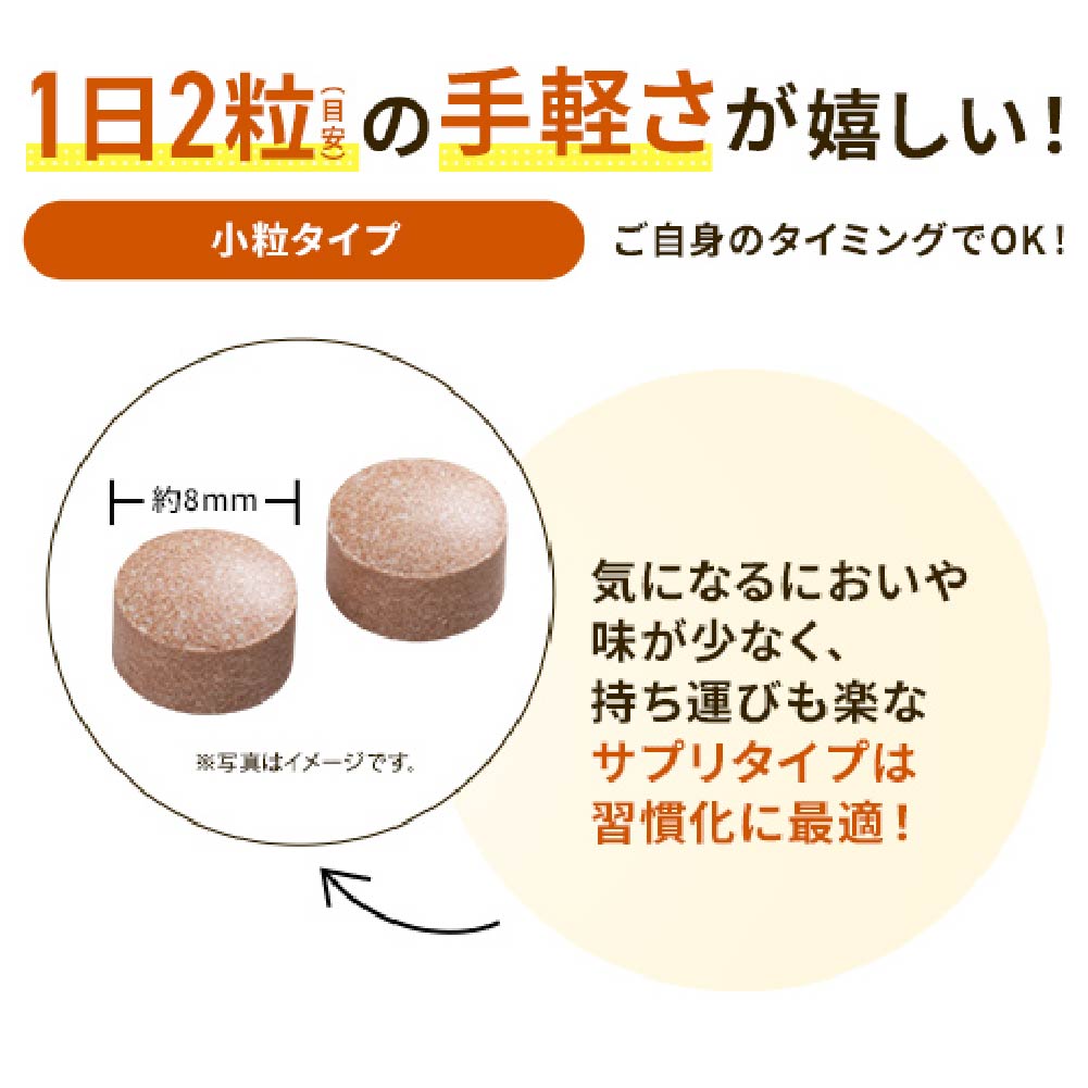 大正製薬 公式 ビオフェルミン スマート腸活サプリ 60粒 カテキン 脂肪