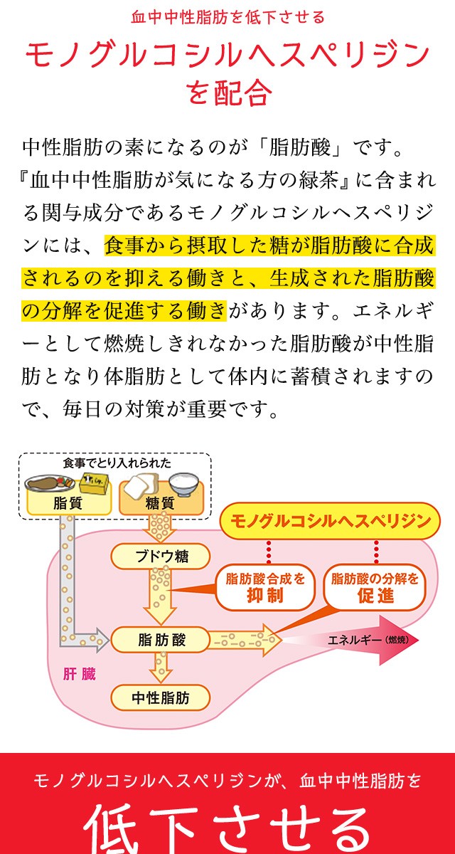 中性脂肪 血中中性脂肪が高めの方の緑茶 1箱 30袋 トクホ 特保 特定