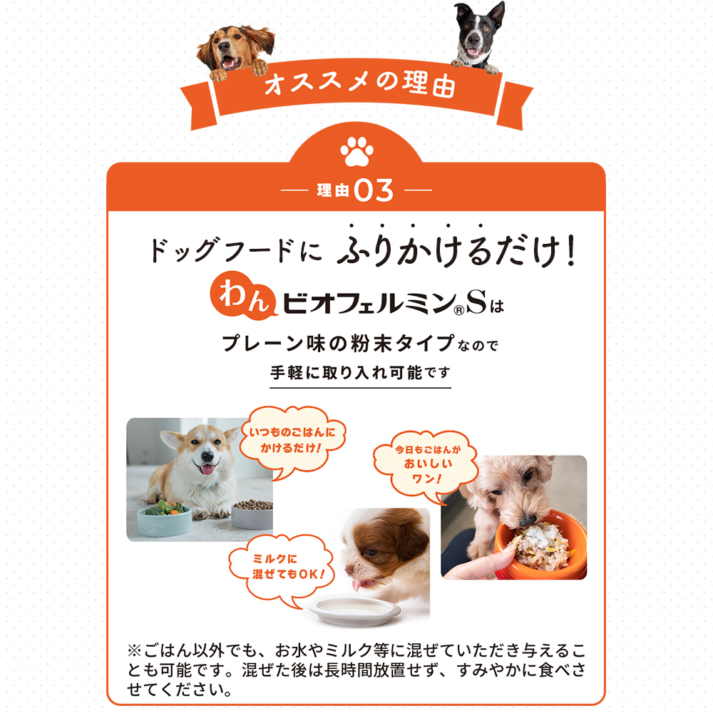 ビオフェルミンS 40g 愛犬用サプリメント　2個セット 大正製薬 公式 わん ビオフェルミンS 40g 2袋 サプリ 犬