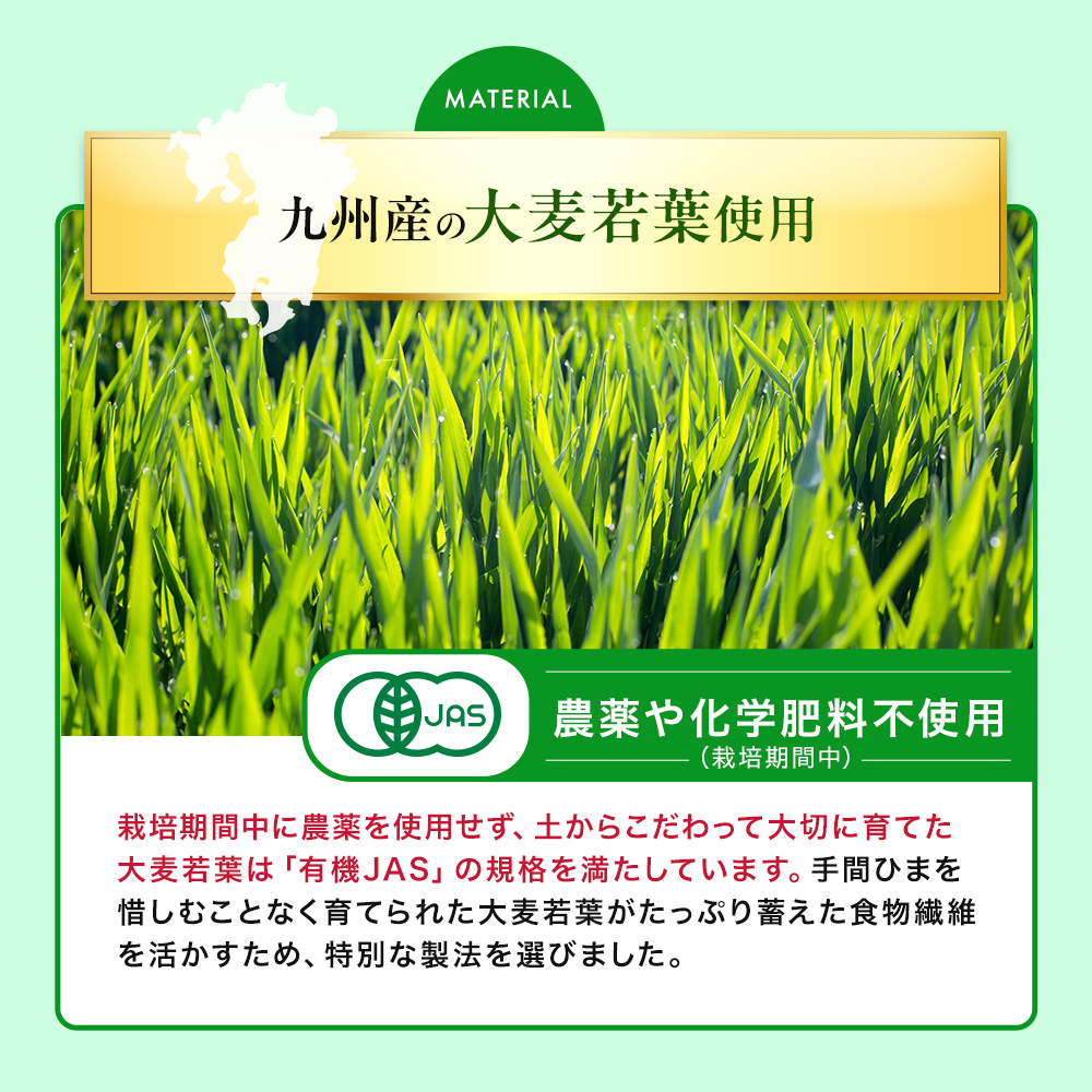 大正製薬 公式 コレステロールや中性脂肪が気になる方の青汁 30袋×2箱