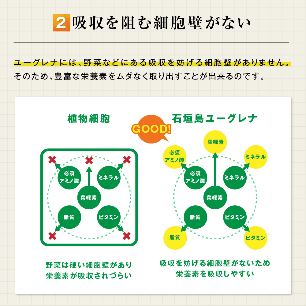 公式 大正製薬 大正ユーグレナ １２０粒 クロレラ スピルリナ