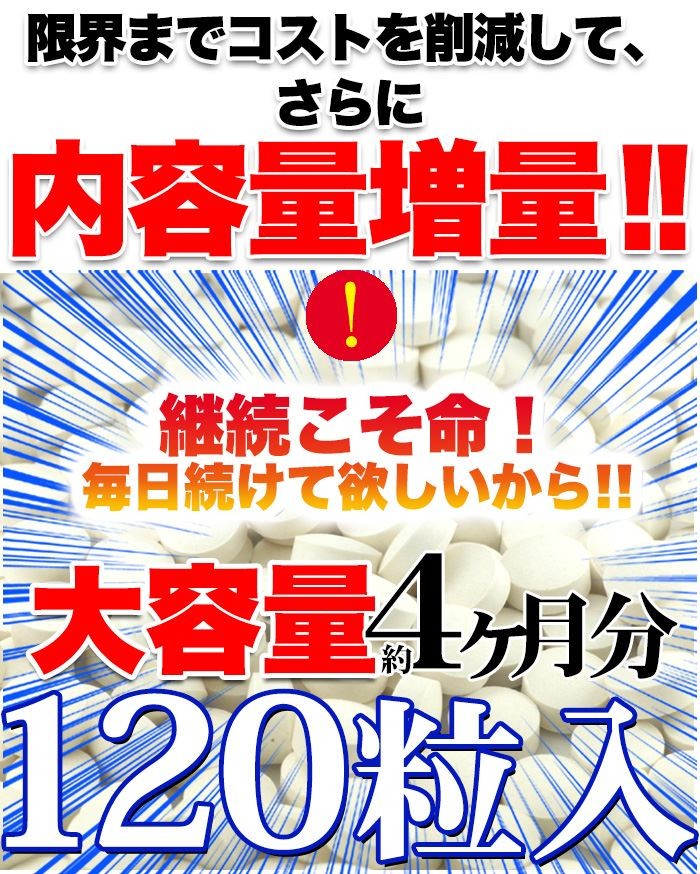 メガ盛り 乳酸菌サプリメントどっさり約4ヶ月分 2個セット :SM00010524-2p:充電ケーブルとバッグのOkadeヤフーショップ - 通販 -  Yahoo!ショッピング