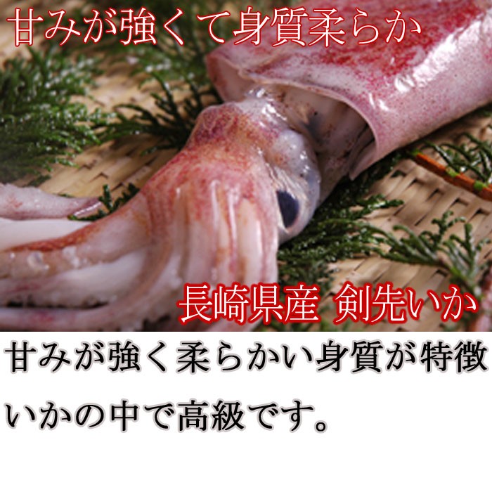 剣先イカ 長崎産 約1kg（みずいか 剣先いか けんさきいか 白いか 赤いか）冷凍 :s-0015r:瀬戸内たいたいCLUB - 通販 -  Yahoo!ショッピング