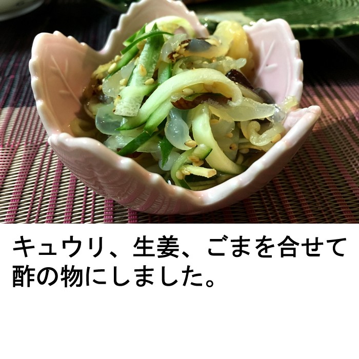 くらげ お刺身 1kg 0ｇx5袋 生 クラゲ袋 生 クラゲ Kurage5 瀬戸内たいたいclub 通販 Yahoo ショッピング