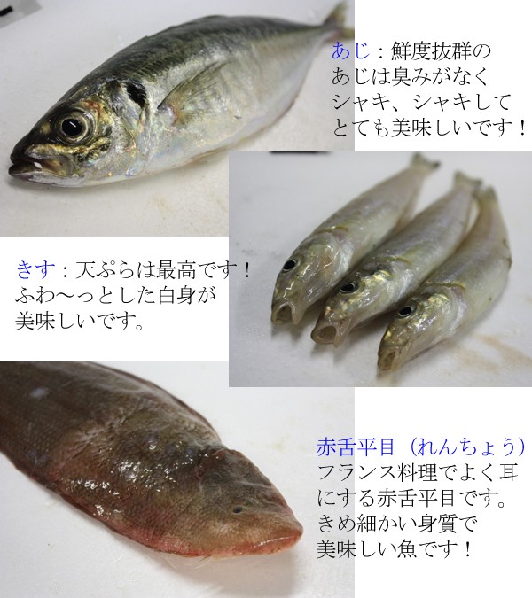 おまかせ鮮魚セット 瀬戸内海産の魚をメインにセットにしています。下 ...