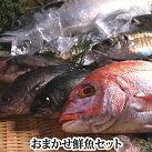 おまかせ鮮魚セット 瀬戸内海産の魚をメインにセットにしています。下処理後、真空に近い状態にパック、レシピ付き