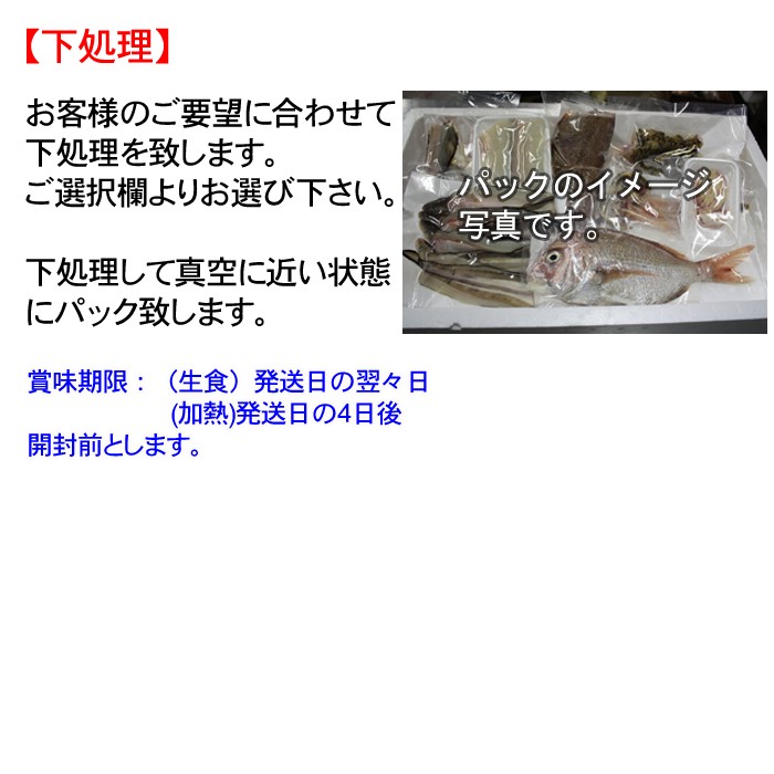 瀬戸内海産、地アジ Sサイズ（１３０〜１５０ｇ）（ あじ 鯵 ） : s 