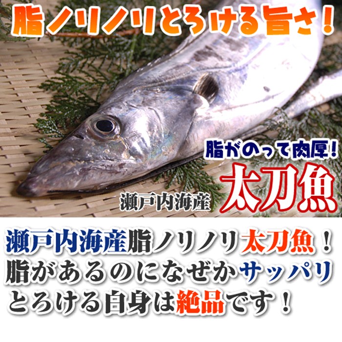 太刀魚 1kg 釣り たちうお タチウオ お刺身 S 0016 02 瀬戸内たいたいclub 通販 Yahoo ショッピング