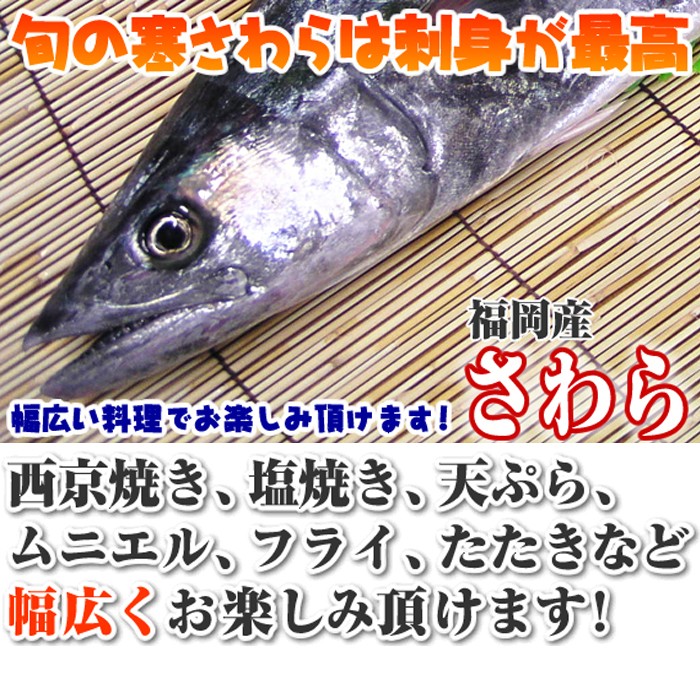 鰆 さわら サワラ 3ｋｇの半身 お刺身 たたきは格別です S 0063 瀬戸内たいたいclub 通販 Yahoo ショッピング
