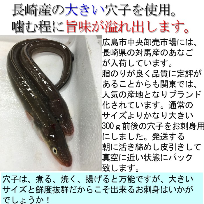 穴子 刺身用 1尾300g 前後 3〜4人前 長崎県産（ あなご アナゴ 国産 活き締め 生 ） :S-0064-03:瀬戸内たいたいCLUB -  通販 - Yahoo!ショッピング