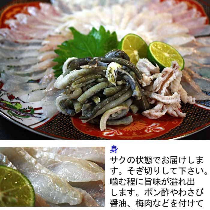 穴子 刺身用 1尾300g 前後 3〜4人前 長崎県産（ あなご アナゴ 国産 活き締め 生 ） :S-0064-03:瀬戸内たいたいCLUB -  通販 - Yahoo!ショッピング