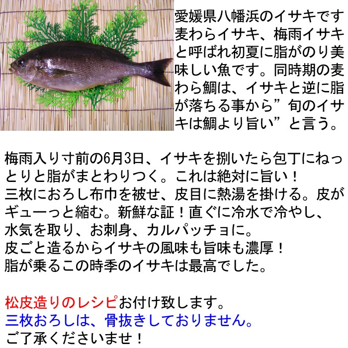 夏のイサキ（いさき）は鯛より旨い！愛媛県八幡浜産もしくは大分県産 関いさき500g（4〜5人前） :s-0007:瀬戸内たいたいCLUB - 通販 -  Yahoo!ショッピング