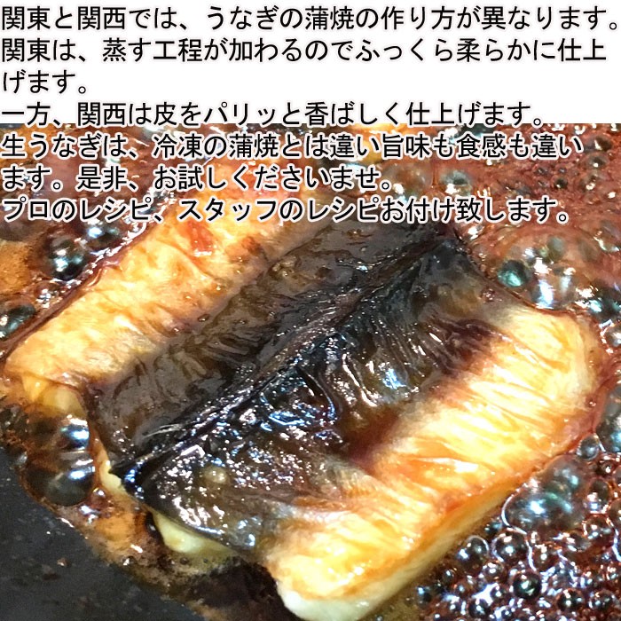 生うなぎ 活き締め 1尾約300ｇ 愛知県産もしくは台湾 養殖 骨 肝 タレ付き バーベキュー Unagi1 瀬戸内たいたいclub 通販 Yahoo ショッピング