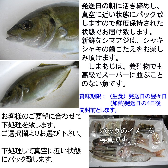 瀬戸内海産しまあじ（養殖）1ｋｇ（シマアジ、沖アジ、養アジ） :s-0162:瀬戸内たいたいCLUB - 通販 - Yahoo!ショッピング