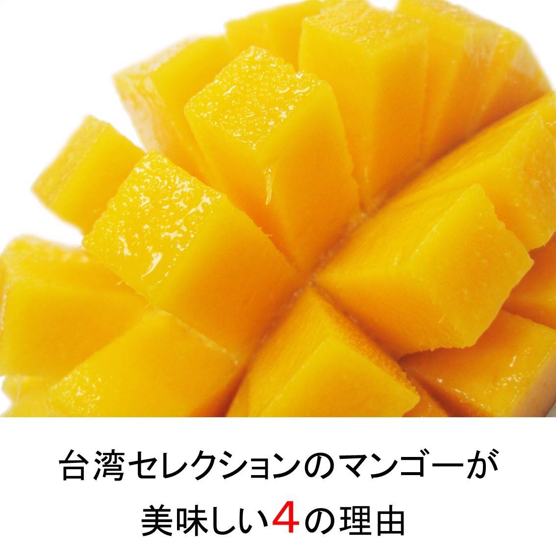 ○予約＜3Lサイズ以上超大玉指定＞○送料無料 幸せの台湾