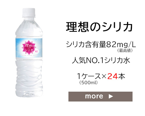 シリカ水 500ml 48本 高濃度シリカ水 シリカウォーター 理想のシリカ 