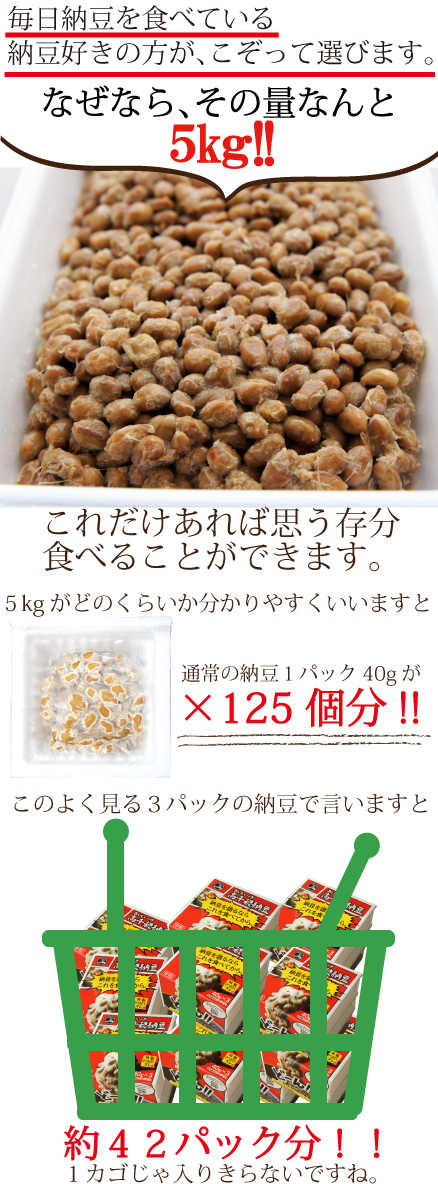 納豆5kg