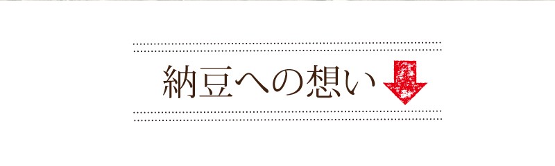 しそのり納豆